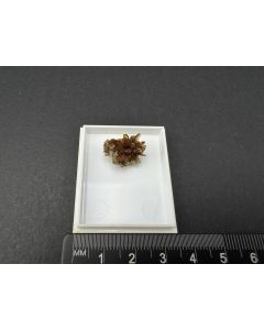 Childrenite xls; Lafra da Ilha, MG, Brazil; TN; unique piece