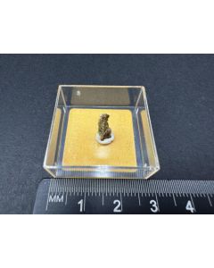 Choloalite xls; Tombstone, AZ, USA; TN; unique piece
