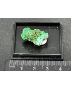 Cuproadamite, Gartrellite xls; Tsumeb Mine, Otavi Mountains, Namibia; Ilse Baer collection; TN; unique piece
