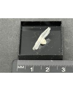 Leiteite xls; Tsumeb Mine, Otavi Mountains, Namibia; Ilse Baer collection; TN; unique piece
