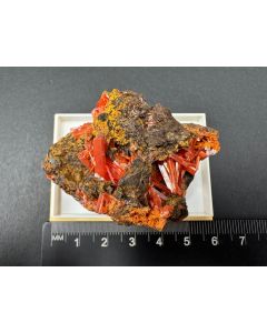 Crocoite xls; Adelaide Mine, Tasmania, Australia; Min; unique piece
