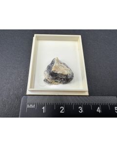 Curetonite; Golconda, NV, USA; TN; unique piece