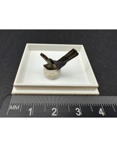 Dyscrasite xls; Pribram, Czech Republic; TN; unique piece
