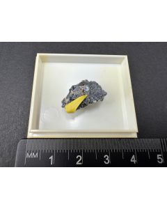 Earlshannonite xls; Hagendorf, Bavaria, Germany; TN; unique piece
