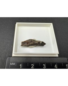 Dreyerite xls; Hirschhorn, Palatinate, Germany; TN; unique piece
