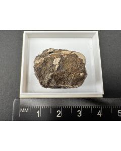 Diadochite; Richelle, Ardennes, Belgium; Min; unique piece