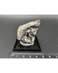 Diaphorite xls; St. Andreasberg, Harz, Germany; Scab; unique piece