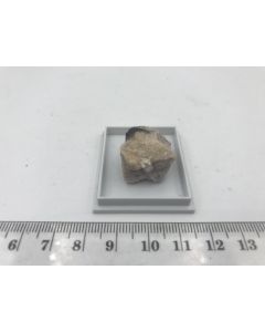 Hydroterskit; Karnasurt, Lovozero, Russia; Min; unique piece