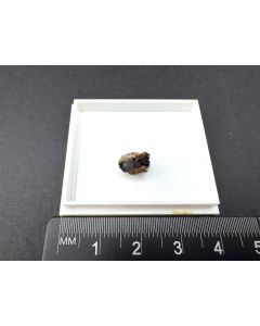 Djurleite xls (with Chalcocite); Reichenbach, Odenwald, Germany; TN; unique piece