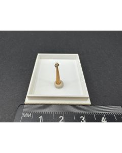 Cuspidine xls; Bellerberg, Eifel, Germany; TN; unique piece

