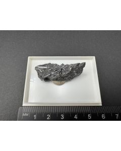 Cylindrite; Mina Candelaria, Poopo, Bolivia; Min; unique piece
