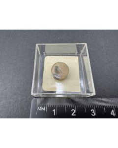 Cuprorhodsite, Isoferroplatinum; Kondor, Aldan, Russia; TN; unique piece

