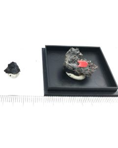 Ramazzoite xls/(xls); Lichtloch 26, Mansfeld, Saxony-Anhalt, Germany; Min