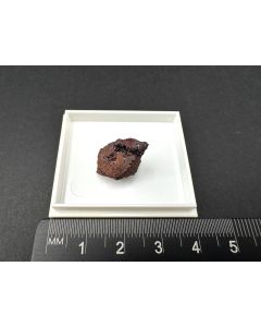 Delafossite xls; Bisbee, AZ, USA; TN; unique piece
