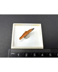 Desautelsite xls; Clear Creek, CA, USA; Min; unique piece
