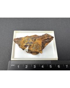 Coeruleolactite xls; Rotl&auml;ufchen Mine, Wetzlar, Hesse, Germany; Min; unique piece
