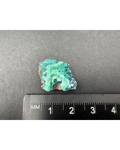 Cornetite xls (TOP!); Likasi, Shaba, Democratic Republic of Congo; TN; unique piece
