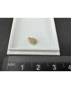 Capgaronnite xls, Perroudite xls; Cap Garonne, Var, France; TN; unique piece


