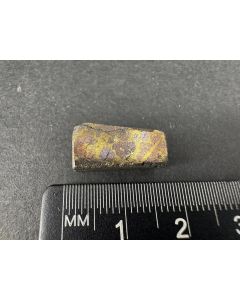 Braggite, Cooperite; Norilsk, Ural, Russia; TN; unique piece
