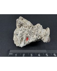 Arsenmonazite xls; Cherbadung, Binntal, Switzerland; Scab; unique piece
