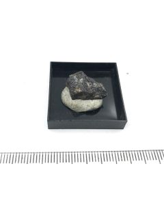 Tavagnascoite; Bastn&auml;s, Schweden; TN