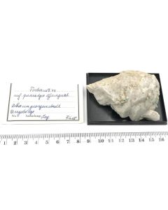 Torbernite xls; Johanngeorgenstadt, Saxony, Germany; Scab; unique piece