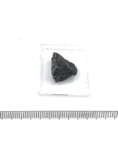 Bornite; Butte, Montana, USA; TN