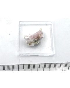 Magnesiokoritnigite xls; Torrecillas mine, Iquique, Chile; TN
