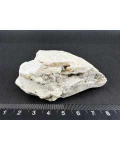 Binnite xls; Lengenbach Mine, Binntal, Switzerland; Scab; unique piece