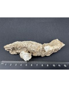 Pericline xls; Ofenhorn, Binntal, Switzerland; Cab; unique piece