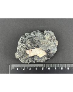 Bournonite xls; Mine de Malines, France; Scab; unique piece
