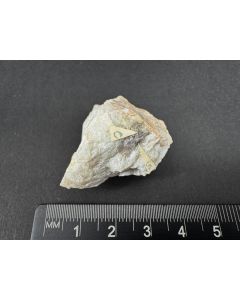 Cesstibtantite (UV), Simpsonite (UV); Voronya Tundra, Khibiny, Kola, Russia; Min; unique piece
