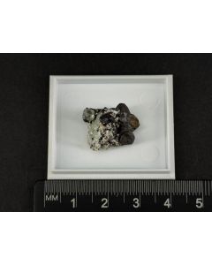 Cafarsite xls; Wannigletscher, Binntal, Switzerland; Min; unique piece
