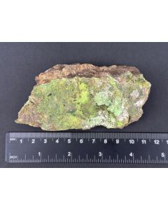 Nickeltalmessite xls; Bou Azzer, Morocco; Scab; unique piece
