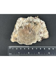 Montroydite xls; St. Eulalia, Chihuahua, Mexico; Scab; unique piece
