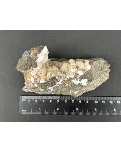 Natrolite xls; Horseshoe Dam, AZ, USA; Cab; unique piece
