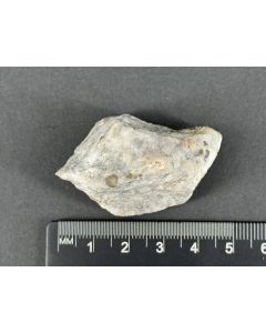 Boracite xls; Lüneburg, Lower Saxony, Germany; Min; unique piece