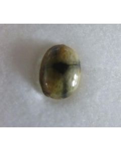 Chiastolite Cabochon 3-5 mm, Chile, 10 pieces