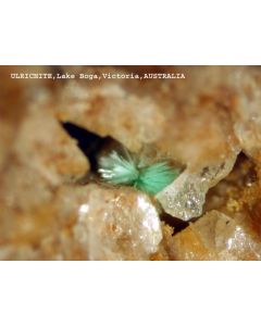 Ulrichite xx; Lake Boga Quarry, Lake Boga, Victoria, Australia; MM
