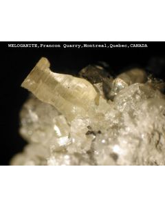 Weloganite xx; Francon Quarry, Quebec, Canada; MM