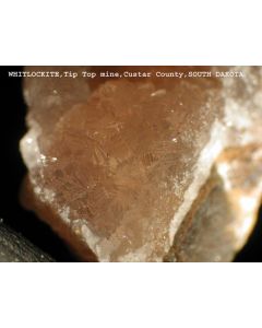 Whitlockite xx/(xx); Palermo Mine, North Groton, Grafton Co., NH, USA; NS