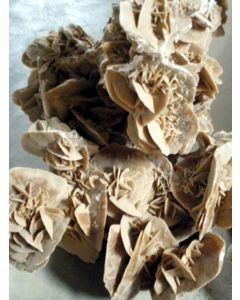 Desert roses, I choice, cleaned (!), small to medium pieces, Tunesia, 1 kg