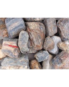 Petrified (fossil) Wood, Kiesgrube Sermuth bei Gnandstein, Sachsen, D., 1 kg