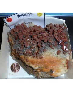Vanadinite xx; Mibladen, Midelt, Morocco; HS