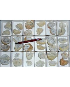 Quartz-geode (small, open), Morocco, 1 flat (18 selected pairs)