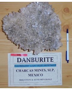 Danburite xx; Mina La Aurora, Charcas, San Luis Potosi, Mexico; GS