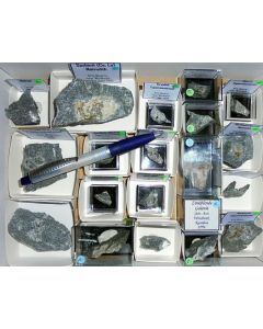 Aris, Windhoek, Namibia; small collection of well identified specimen; 1 lot of 22 specimen