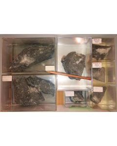 Aris, Windhoek, Namibia; small collection of well identified specimen; 1 lot of 7 specimen, large flat