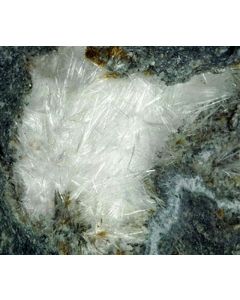 Makatite xx, Aris, Windhoek, Namibia; 1 lot of 32 specimen, large flat
