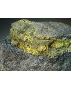 Oxyplumboromeite (Bindheimite) xx; Grube Jost Christian, Wolfsberg, Harz, Germany; MM 